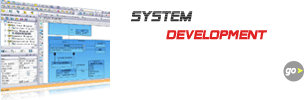 시스템 개발